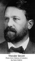 Portrait of Theodor Boveri