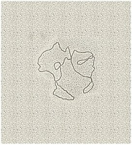 Electron micrograph of mitochondrial DNA (mtDNA)