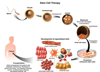 CRISPR-Cas9 mediated activation of pluripotency genes for cell reprogramming