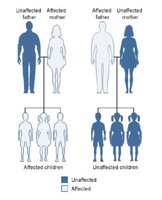 Pedigree charts showing maternal inheritance of mitochondrial DNA