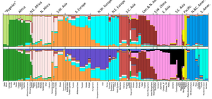 SNPs used for ancestry testing