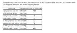 Tomato gene mapping cross setup