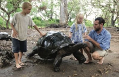 People interacting with a Galapagos tortoise, illustrating unique island species