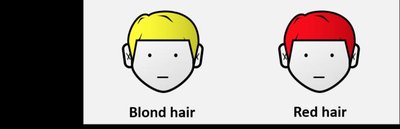 Bald phenotype due to epistasis