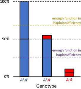 Genotype activity levels and thresholds for haploinsufficiency and haplosufficiency