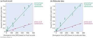 Molecular clock calibration using fossil and molecular data
