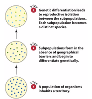 Diagram of sympatric speciation