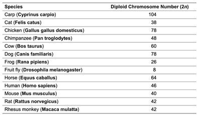 Table of diploid chromosome numbers in selected animal species