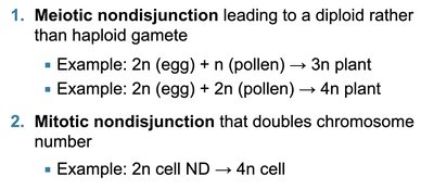 Mechanisms of autopolyploidy and allopolyploidy