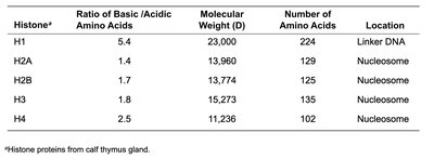 Histone protein characteristics