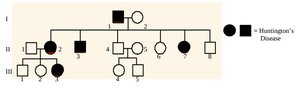 Pedigree showing inheritance of Huntington's disease