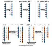 Types of chromosomal rearrangements