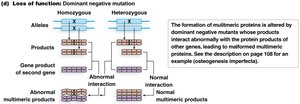 Diagram of dominant negative mutation