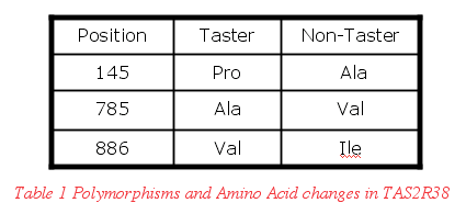 TAS2R38 polymorphisms table