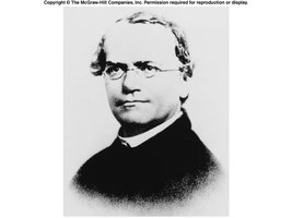 Portrait of Gregor Mendel