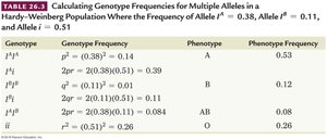 Table showing genotype and phenotype frequencies for ABO blood group alleles