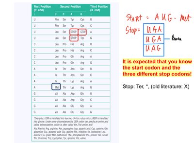 Genetic code table with start and stop codons
