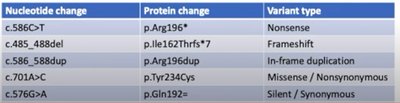 Table of nucleotide and protein changes with variant types