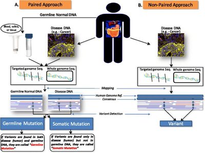 Screenshot of The Cancer Genome Atlas Program webpage