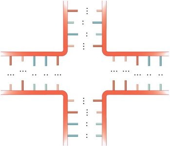 Multibranched junction structure