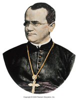 Portrait of Gregor Mendel