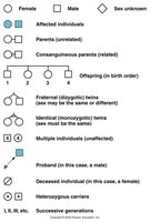 Pedigree symbols and conventions