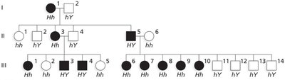 Pedigree clues for X-linked dominant