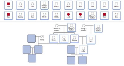 Pedigree construction step 3