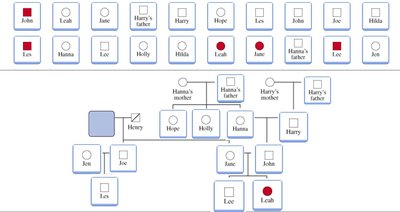 Pedigree construction step 8