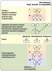 Pedigree symbols for diseases or mutations