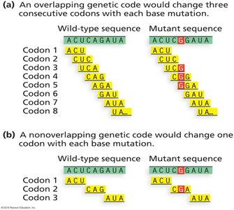 Overlapping vs nonoverlapping genetic code