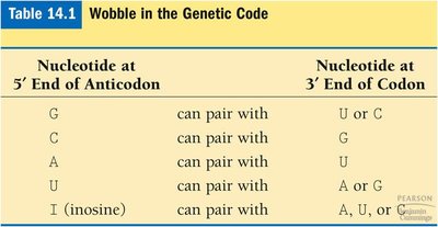 Wobble in the genetic code table