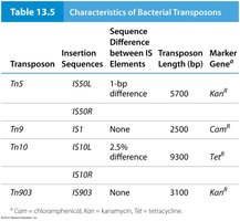 Table of bacterial transposons and their properties