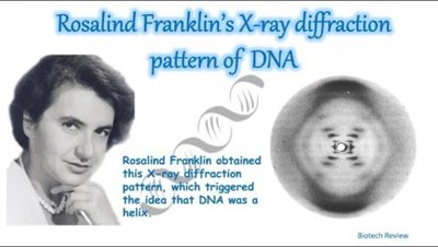Rosalind Franklin's X-ray diffraction pattern of DNA