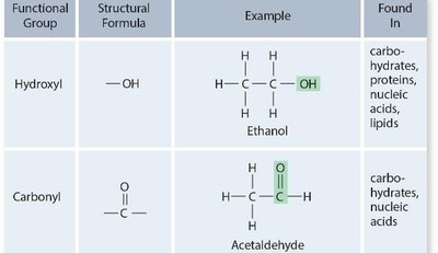 Table of functional groups, structural formulas, and examples