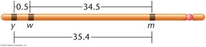 Genetic map showing distances between y, w, and m genes