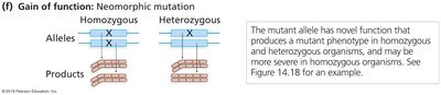 Neomorphic mutation: novel function
