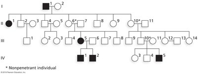 Pedigree for penetrance calculation
