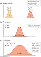 Variance in parental, F1, and F2 generations illustrating genetic and environmental variance