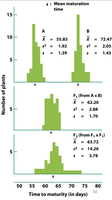 Histograms showing distribution of trait values in parental, F1, and F2 generations