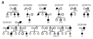 Pedigree chart showing inheritance and anticipation in dyskeratosis congenita