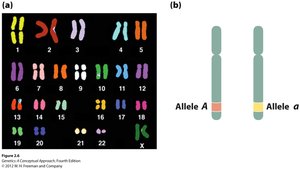 Learning goals for BIOL 302 Molecular and General Genetics