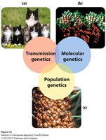 Venn diagram of areas of genetics