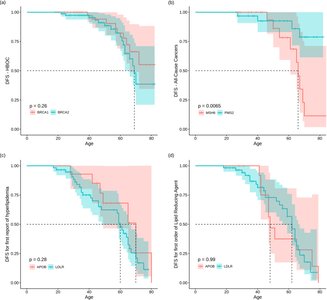 Gene-specific disease-free survival comparisons for HBOC, LS, and FH