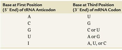 Table of tRNA anticodon wobble pairing