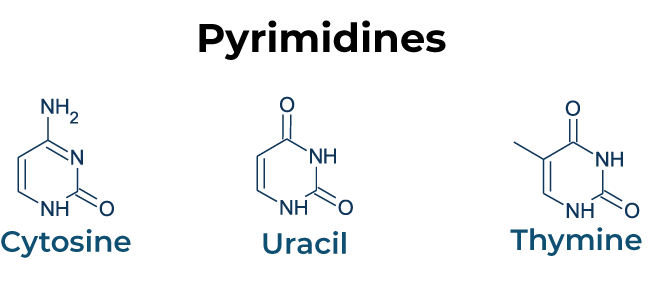 Pyrimidine structures