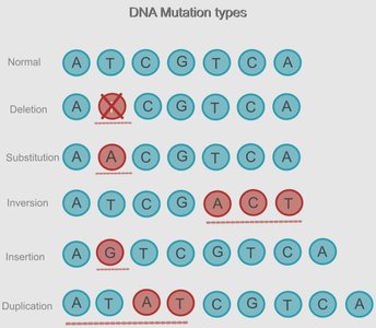 DNA mutation types: deletion, substitution, inversion, insertion, duplication