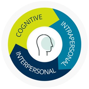 Transferable skills framework: cognitive, intrapersonal, interpersonal