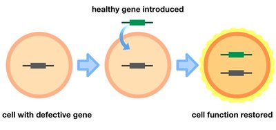 Gene therapy diagram