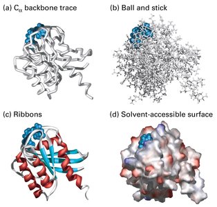 Different representations of protein tertiary structure